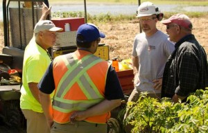 Salina Investigation via Geoprobe Cropped