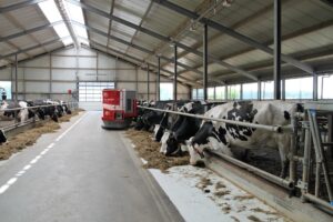 Modern dairy farm