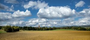 Farm Field