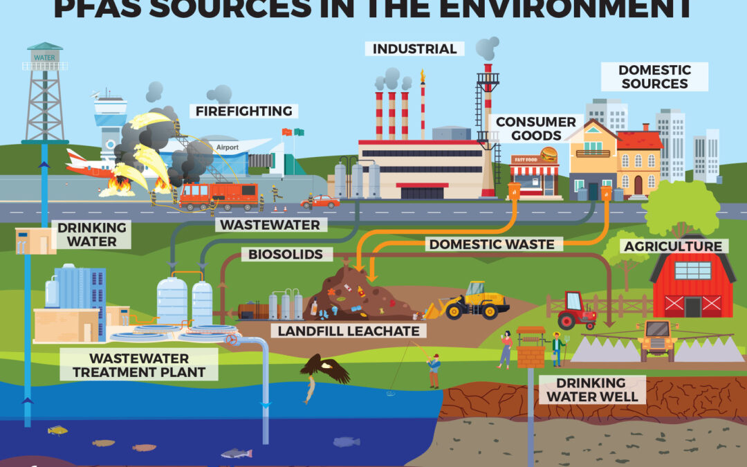 Required PFAS Reporting Detailed and Other PFAS Developments