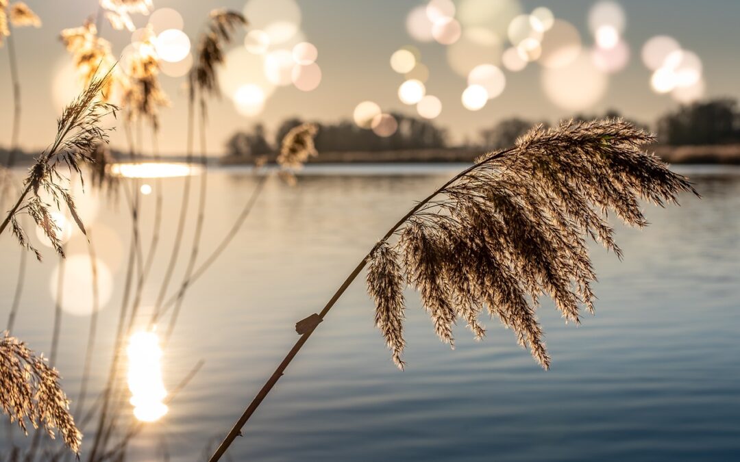 Environmental Penalties Increase – Some Recent Enforcement News