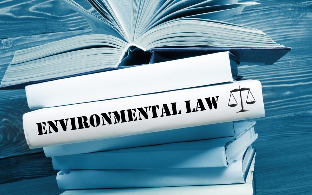 Environmental Regulatory Changes and “Surprise Moves”