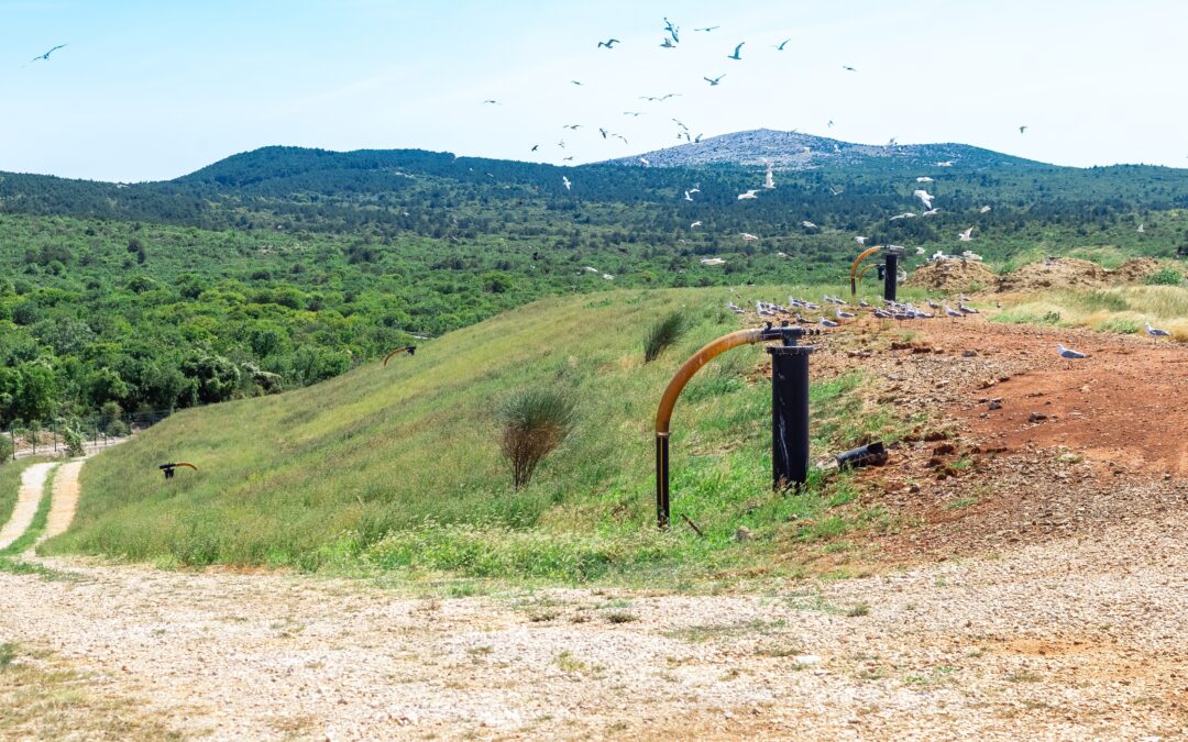 CERCLA and PFAS – EPA’s Enforcement Discretion