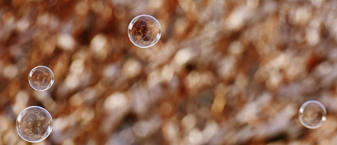 Environmental Enforcement and Fines