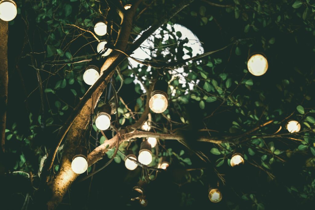 light bulbs in a tree