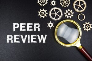 Peer Review Icon