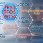 PFOA and PFOS